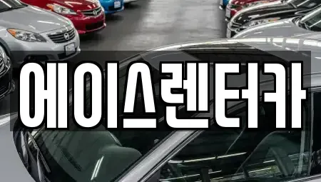 경기 안성시 대덕면 렌트카 전문 에이스렌터카