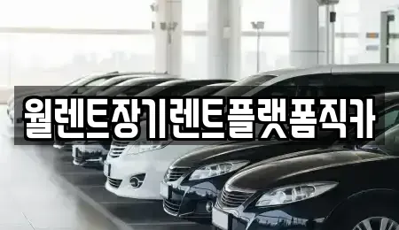 경기 안성시 대덕면 장기렌트카 전문 월렌트장기렌트플랫폼직카