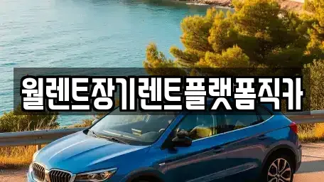 경기 안성시 발화동 렌트카 전문 월렌트장기렌트플랫폼직카