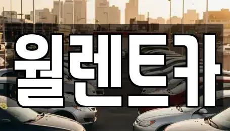 경기 안성시 발화동 렌트카 전문 월렌트카