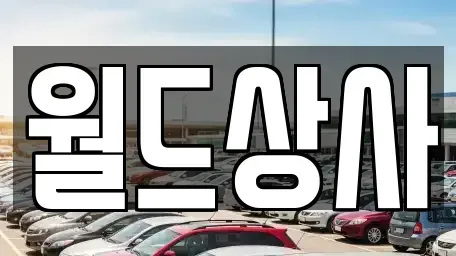 경기 안성시 발화동 중고차 전문 월드상사