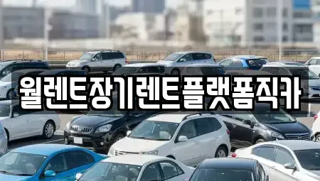 경기 안성시 연지동 렌트카 전문 월렌트장기렌트플랫폼직카