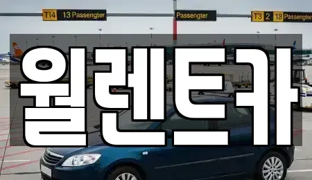 경기 안성시 연지동 렌트카 전문 월렌트카