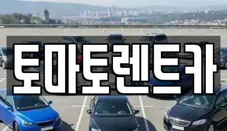 경기 안성시 연지동 렌트카 전문 토마토렌트카