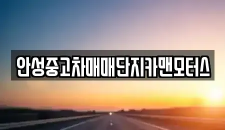 경기 안성시 연지동 중고차 전문 안성중고차매매단지카맨모터스