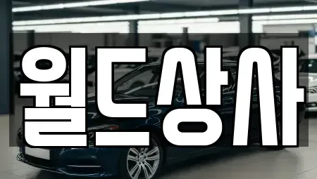 경기 안성시 연지동 중고차 전문 월드상사