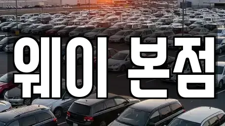 경기 안양시 만안구 안양동 단기렌트카 전문 웨이 본점