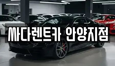경기 안양시 만안구 안양동 렌트카 전문 싸다렌트카 안양지점