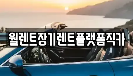 경기 안양시 만안구 안양동 장기렌트카 전문 월렌트장기렌트플랫폼직카