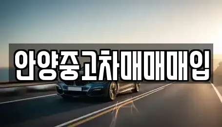 경기 안양시 만안구 안양동 중고차 전문 안양중고차매매매입