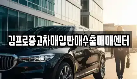 경기 안양시 만안구 안양동 중고차매입 전문 김프로중고차매입판매수출매매센터