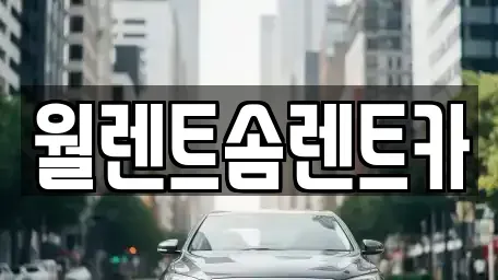경기 양주시 광사동 렌트카 전문 월렌트솜렌트카