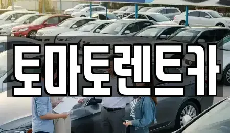 경기 양주시 광사동 렌트카 전문 토마토렌트카