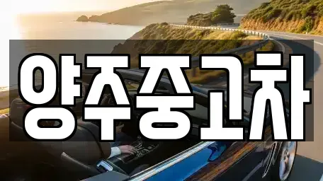 경기 양주시 광사동 중고차 전문 양주중고차