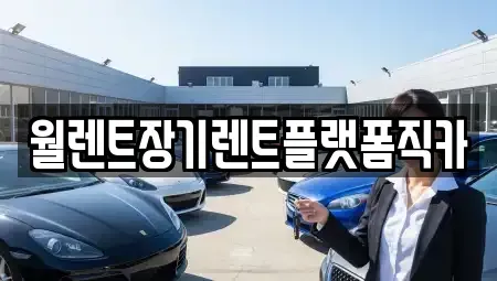 경기 양주시 덕계동 장기렌트카 전문 월렌트장기렌트플랫폼직카