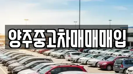 경기 양주시 덕계동 중고차매매 전문 양주중고차매매매입