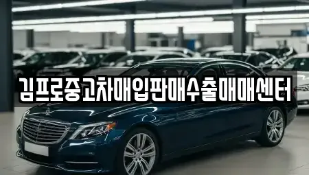 경기 양주시 덕계동 중고차매입 전문 김프로중고차매입판매수출매매센터