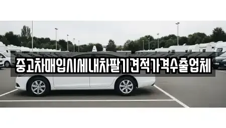 경기 양주시 덕계동 중고차매입 전문 중고차매입시세내차팔기견적가격수출업체