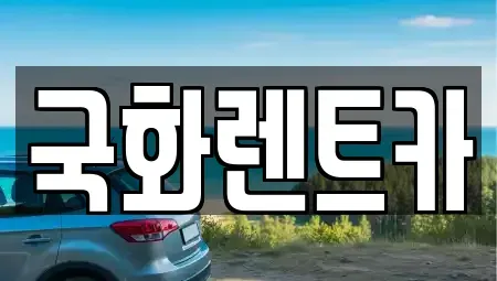 경기 양주시 옥정동 렌트카 전문 국화렌트카