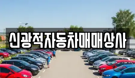 경기 양주시 옥정동 중고차 전문 신광적자동차매매상사