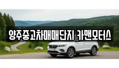 경기 양주시 옥정동 중고차 전문 양주중고차매매단지 카맨모터스
