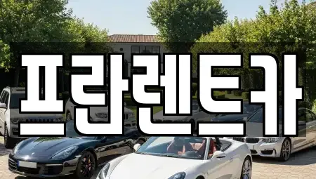 경기 양주시 유양동 렌트카 전문 프란렌트카