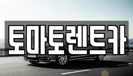 경기 여주시 홍문동 렌트카 전문 토마토렌트카