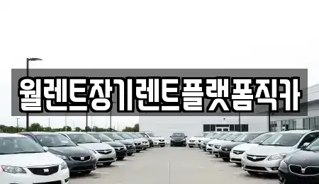경기 오산시 지곶동 장기렌트카 전문 월렌트장기렌트플랫폼직카