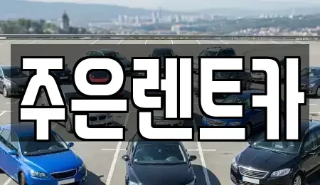 경기 오산시 지곶동 장기렌트카 전문 주은렌트카