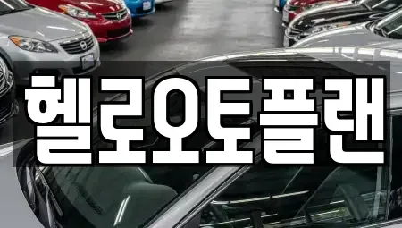 경기 오산시 지곶동 장기렌트카 전문 헬로오토플랜