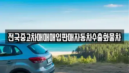 경기 오산시 지곶동 중고차매매 전문 전국중고차매매매입판매자동차수출화물차
