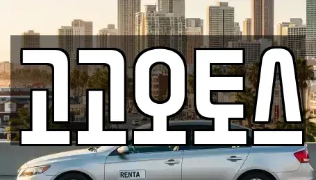 경기 의왕시 이동 렌트카 전문 고고오토스