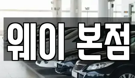 경기 의왕시 이동 렌트카 전문 웨이 본점