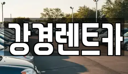 경기 의정부시 신곡동 단기렌트카 전문 강경렌트카