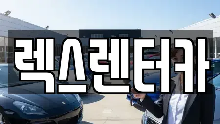 경기 의정부시 신곡동 단기렌트카 전문 렉스렌터카