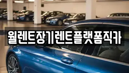경기 의정부시 신곡동 장기렌트카 전문 월렌트장기렌트플랫폼직카