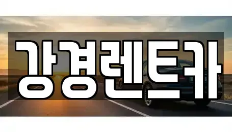 경기 의정부시 장기렌트카 전문 강경렌트카