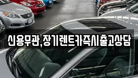 경기 의정부시 장기렌트카 전문 신용무관,장기렌트카즉시출고상담