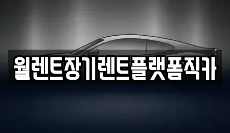 경기 의정부시 장기렌트카 전문 월렌트장기렌트플랫폼직카