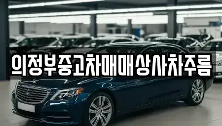 경기 의정부시 중고차 전문 의정부중고차매매상사차주름