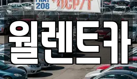 경기 평택시 독곡동 렌트카 전문 월렌트카