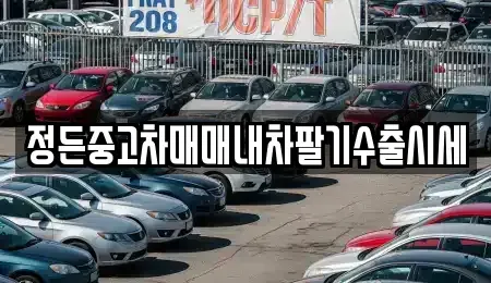경기 평택시 독곡동 중고차 전문 정든중고차매매내차팔기수출시세