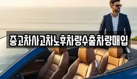 경기 평택시 독곡동 중고차 전문 중고차사고차노후차량수출차량매입