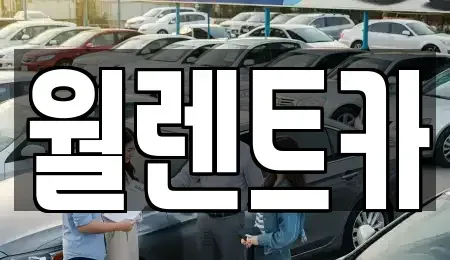 경기 평택시 오성면 렌트카 전문 월렌트카