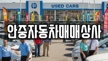 경기 평택시 오성면 중고차매매 전문 안중자동차매매상사