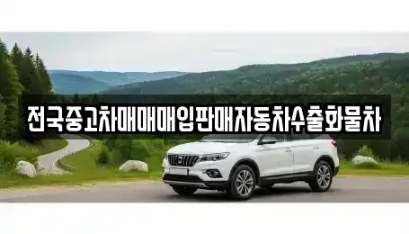 경기 평택시 오성면 중고차매매 전문 전국중고차매매매입판매자동차수출화물차