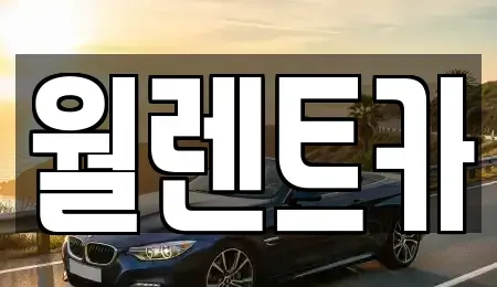 경기 평택시 칠원동 렌트카 전문 월렌트카