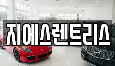 경기 평택시 칠원동 렌트카 전문 지에스렌트리스
