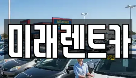 경기 평택시 평택동 렌트카 전문 미래렌트카
