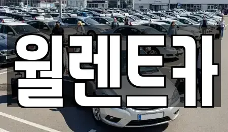 경기 평택시 평택동 렌트카 전문 월렌트카